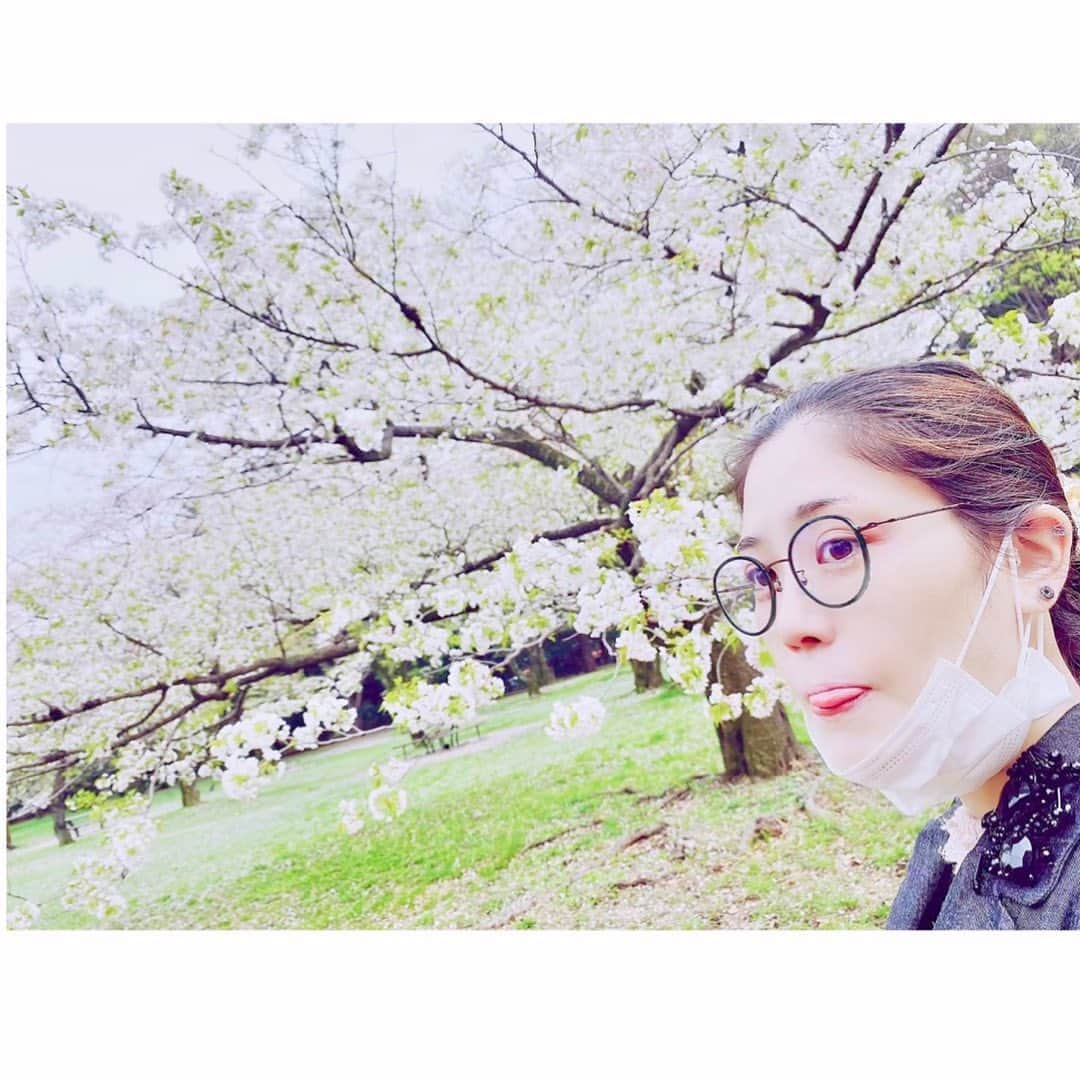 北内みさとさんのインスタグラム写真 - (北内みさとInstagram)「桜が もう散っていきます🌸🌸🌸　  この夕日、 すっごい綺麗じゃない？！🙄💓  ３月ももう終わる🥺💦  ４月から、新たに🇯🇵🇯🇵 気合いをいれて、 悔いがないようがんばりましょう💖👼  #桜 #夕陽 #夕日 #お花見 #公園 #代々木公園 #sunset #cherryblossom #花 #お散歩 #綺麗な景色 #渋谷区 #東京 #tokyo #japan #instagood #photography #followme」3月31日 1時35分 - unyn1992