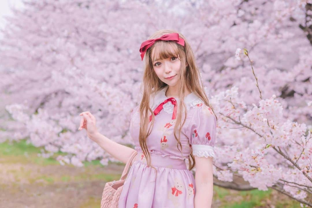 優月心菜のインスタグラム：「photo byharryさん  #ankrouge #アンクルージュ #桜 #砧公園 #被写体 #ふぁいんだー越しの私の世界  #ファインダー越しの私の世界  #ポトレ #ポートレート」