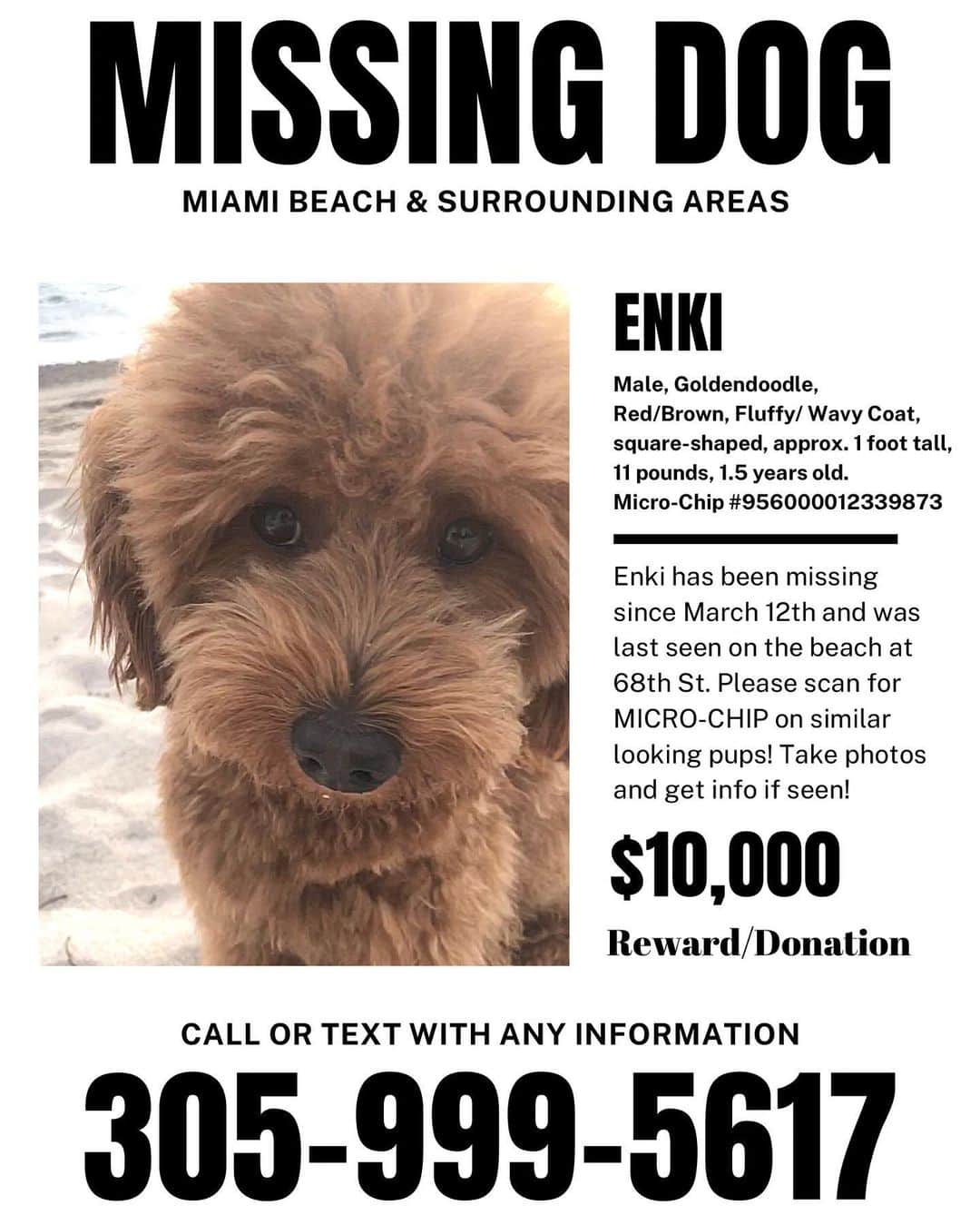 GODDESS OF LOVEのインスタグラム：「I really appreciate everyone’s support in helping me on this mission and spreading the news. I would like to declare that the $10k will go to the person(s), who help to recover Enki, it can be divided amongst multiple people OR, if they will not accept, I will donate it to some sort of non-profit or charity or similar fund of their choosing... #missingdog #lostdog #stolendog #findenki #doodlesofinstagram #doodlepuppy #doodlesoftheworld #helpme #sharepost #nonprofit  #animallovers #rescuedog #charity #dogbreeders #cutedog #lostandfound #lostandfoundpets #newdog」