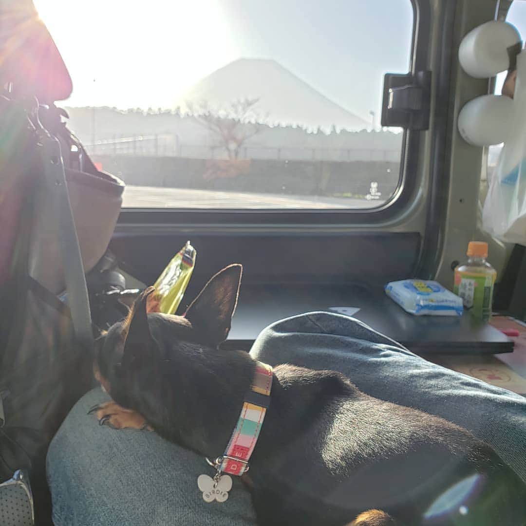 のインスタグラム：「現在日本一周中です #日本一周 #小田原ドラゴン #今夜は車内でおやすみなさい」