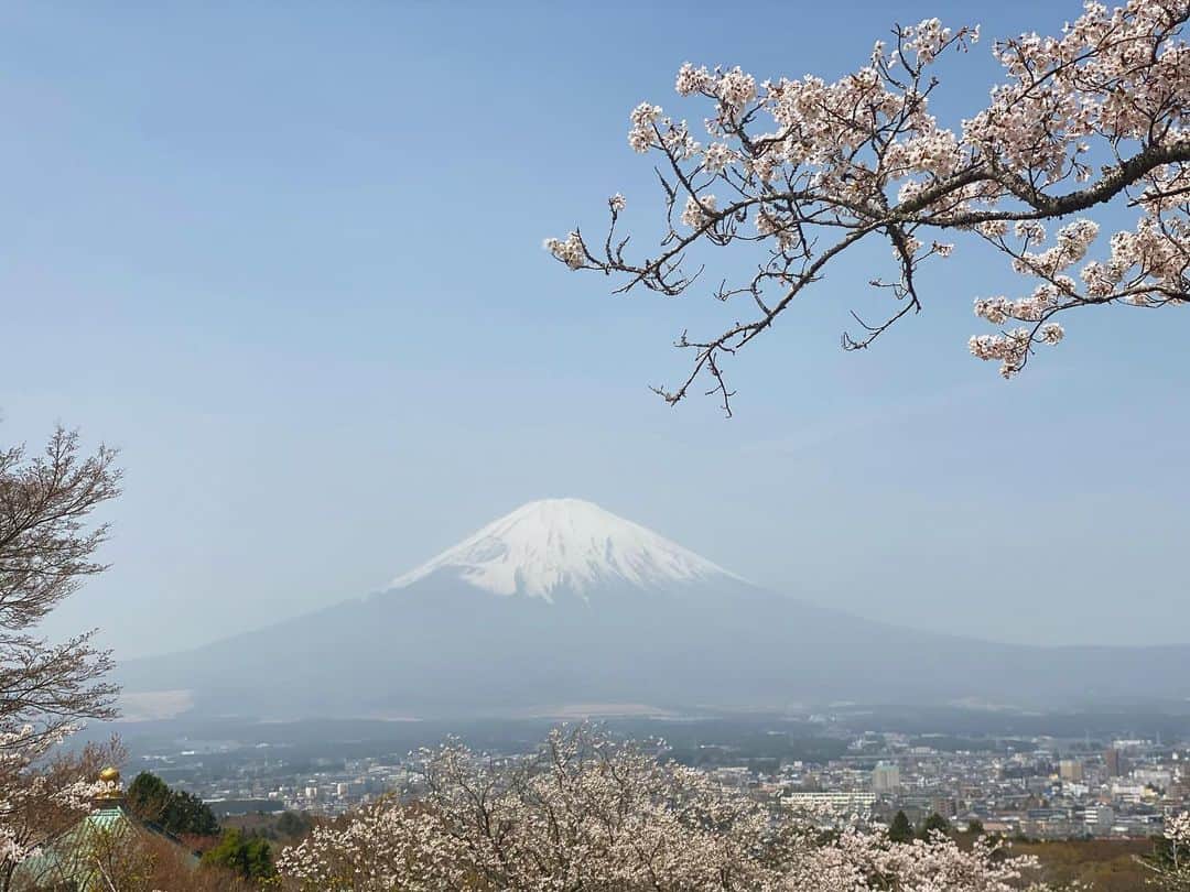 前田ゆかのインスタグラム：「春富士  桜と富士山🌸  #桜 #富士山 #春色 #いい季節 #春休み #japan」