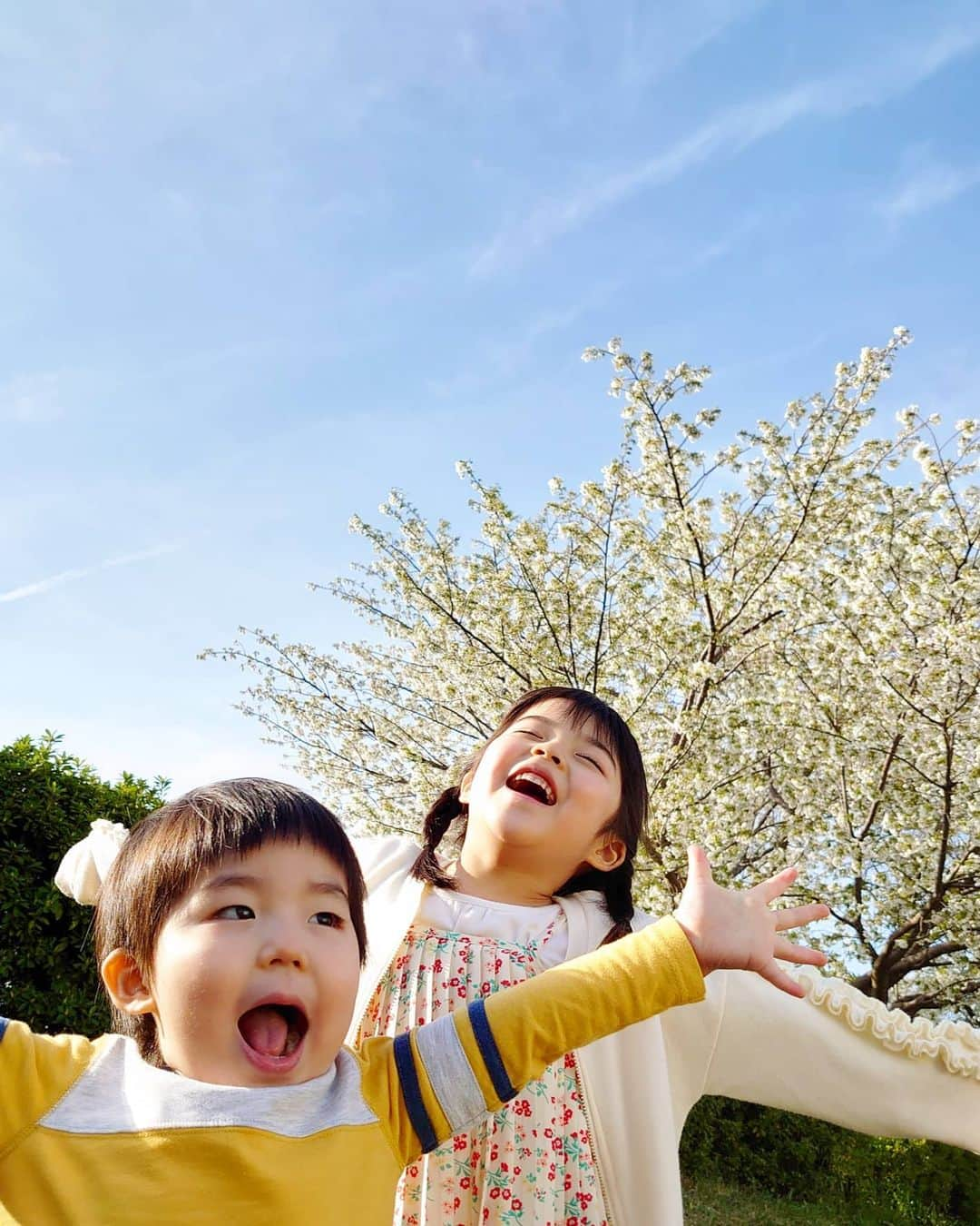 加藤柚凪さんのインスタグラム写真 - (加藤柚凪Instagram)「おでかけのとちゅうで桜みーつけた🌸🌸  #桜 #加藤柚凪 #加藤矢紘」3月31日 17時49分 - yuzuna_nagase