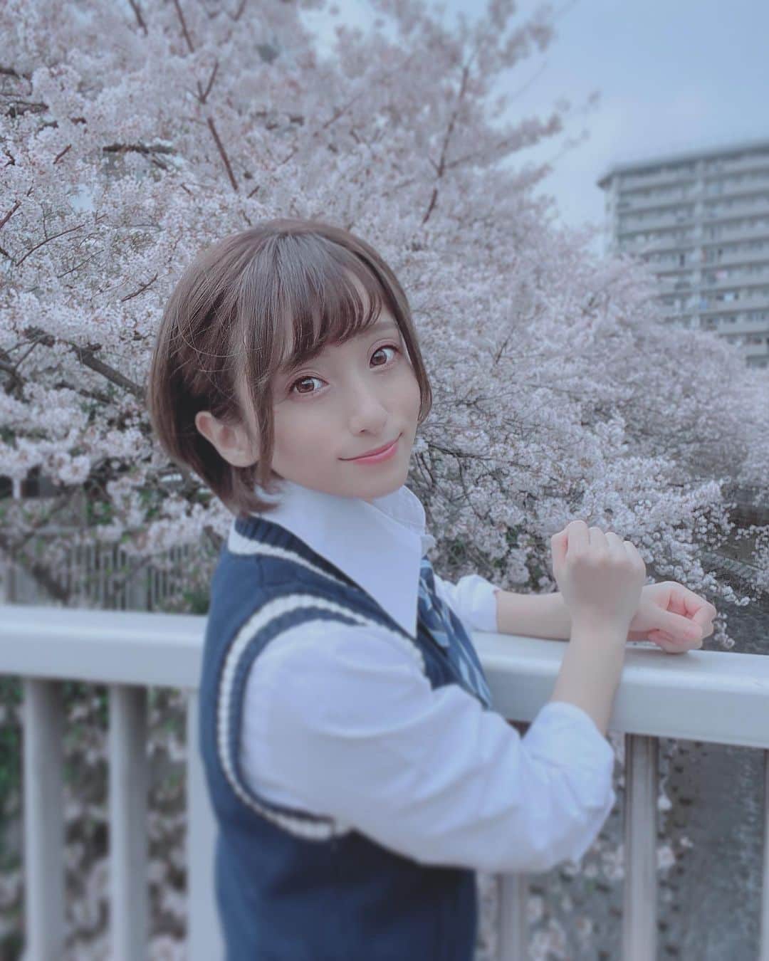 吉良りんのインスタグラム：「. . 春 . #桜 #春」