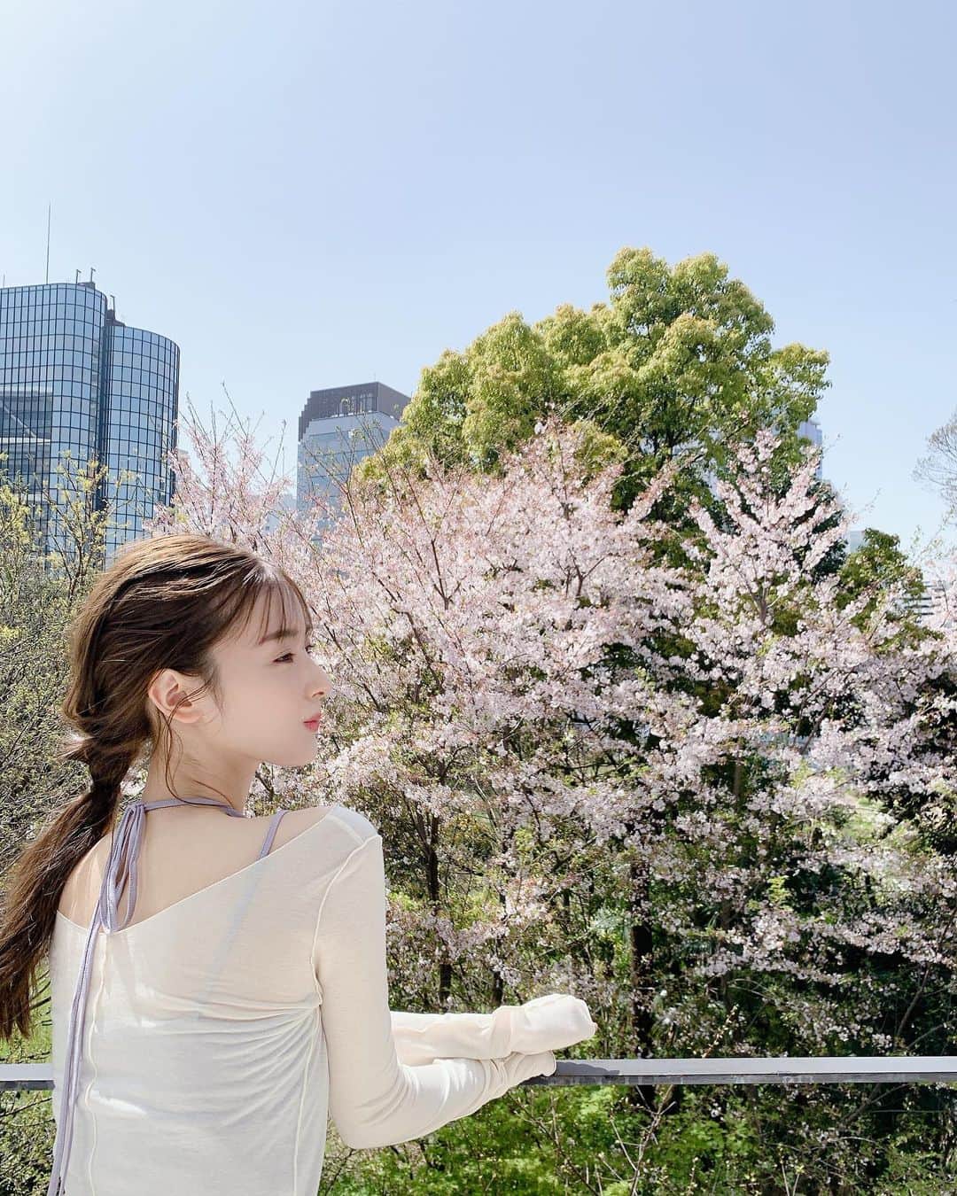 宮本茉由さんのインスタグラム写真 - (宮本茉由Instagram)「🌸」3月31日 17時58分 - mayu_miyamoto_official