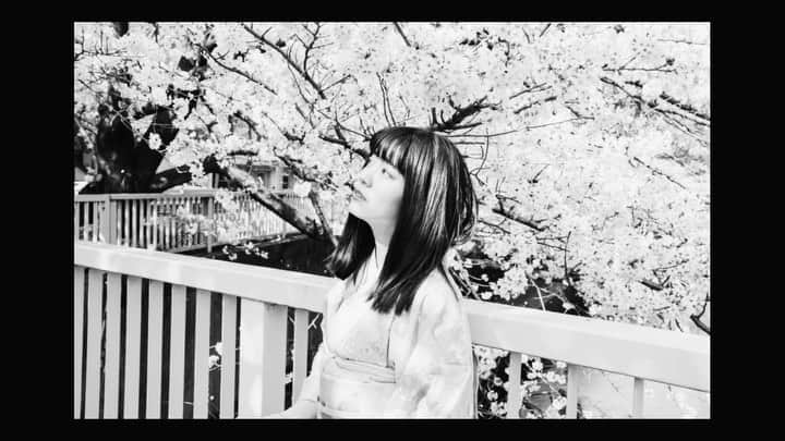 masayuki nittaのインスタグラム：「. 爽春」