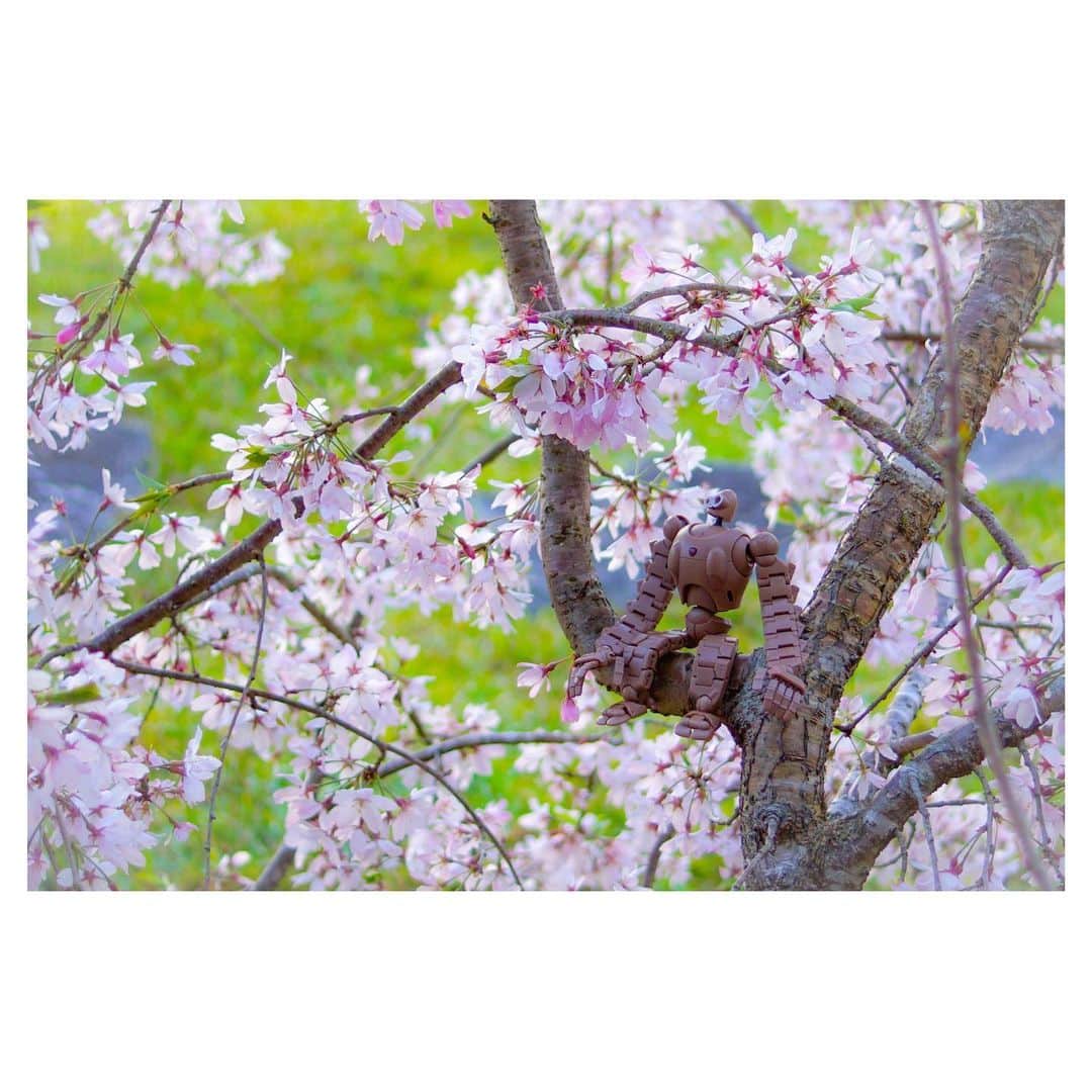 nqouのインスタグラム：「#天空の城ラピュタ #ラピュタ #laputa #ジブリ #ghibli #nqouminiature」