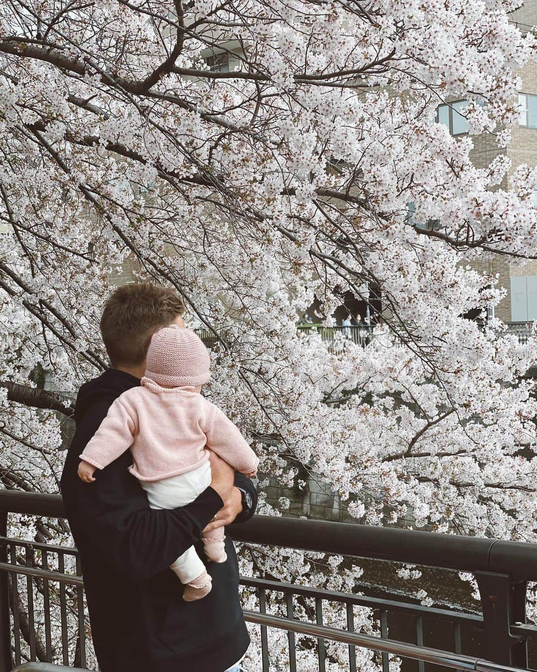 ボーデン・バリットさんのインスタグラム写真 - (ボーデン・バリットInstagram)「Wrapped around her little finger 😘🌸 #sakura #tokyo @hannahlaity」3月31日 14時49分 - beaudenbarrett