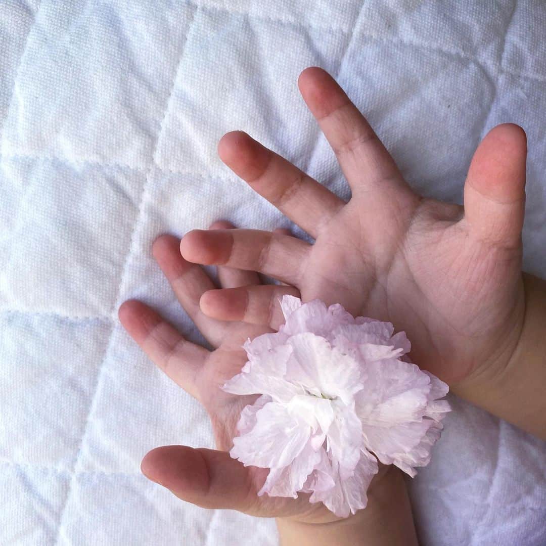 丸林広奈さんのインスタグラム写真 - (丸林広奈Instagram)「ママ、どーじょ。って🌸」3月31日 15時09分 - hironamarubayashi