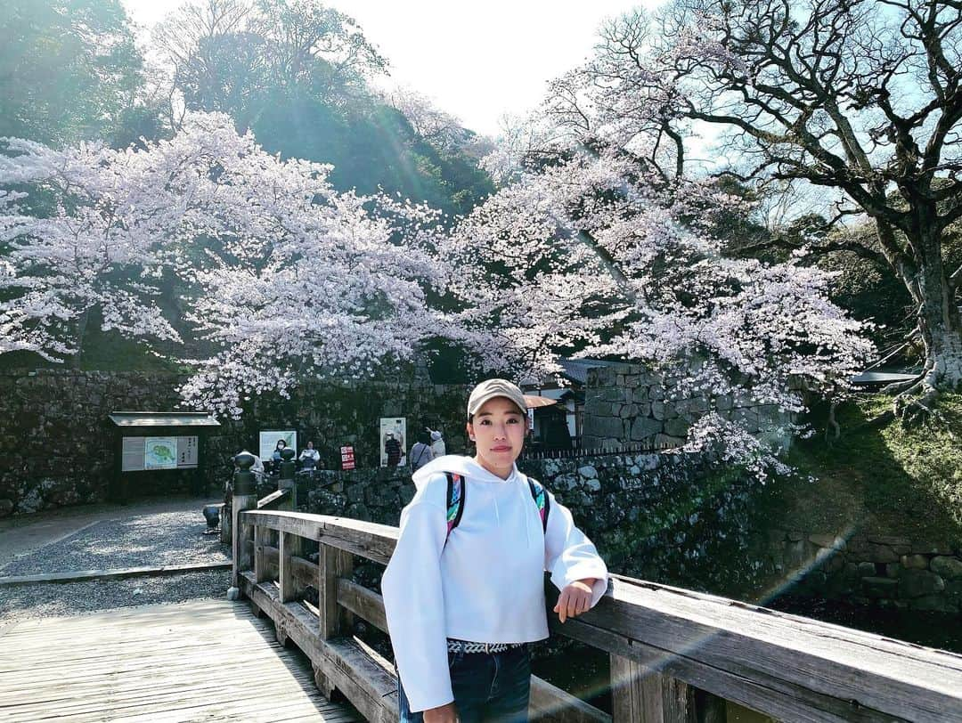 北村響さんのインスタグラム写真 - (北村響Instagram)「#彦根城 #桜 #地元愛 #春 #off #散歩 #天気最高  久しぶりのオフ お散歩日和で桜を見に母と 行ってきました🌸」3月31日 15時20分 - k.bikistagram