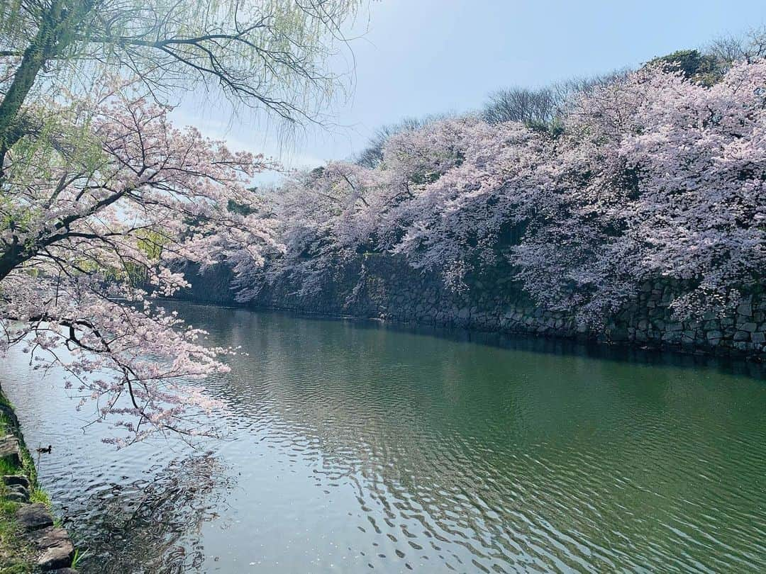 北村響のインスタグラム