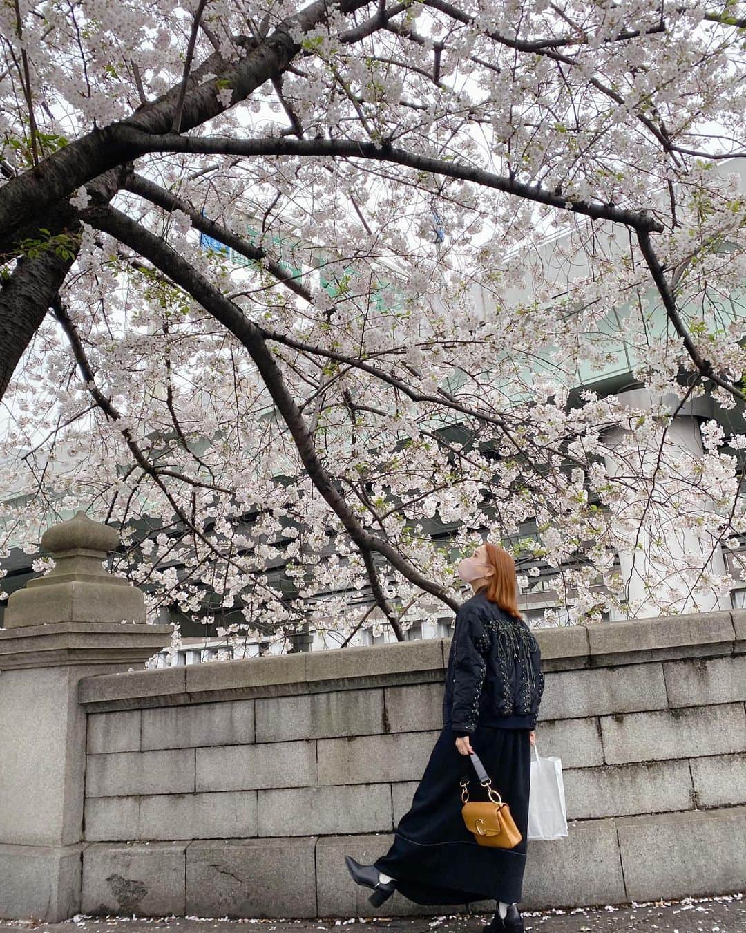 のインスタグラム：「桜のハシゴday🌸  この日は桜三昧で、鑑賞したお能もお花見の演目だったり、アートアクアリウム美術館も桜仕様になってたり、途中の道のりでも綺麗な桜に出会えました。  桜の季節、春は一年の中で一番好きな季節。 心地よさにほだされて、自然と前に進める感覚😌  --------------------------------------------  って、iPhone手持ちで移動してたら、この桜の投稿をいつの間にか消してしまってて泣きながら再投稿。。 こんな日もあるよね〜！ ということで、これから桜を浴びにちょっと遠出してきまーす！  4枚目はあ、カバン空いてた、の図。   #桜 #お花見  #日本橋 #泣きながら再投稿 #コメントといいねくださった皆様ありがとうございます😭」