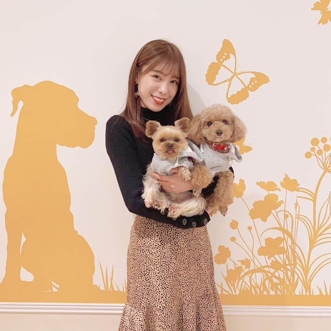 小嶋菜月さんのインスタグラム写真 - (小嶋菜月Instagram)「キャンディ🐶アンジュ . . 今まで2人のこともたくさん可愛がってくれて ありがとうございました🥰❤️ . . AKB夏祭りの時、 キャンディも一緒に握手会参加したの すごく懐かしいなぁ🐶😂 . . またどこかで2人に会うことがあったら その時はよろしくね🐶🐶 . . #愛犬 #キャンディ #トイプードル #アンジュ #ヨークシャテリア #2人とも #沖縄 #生まれ #たくさん #ありがとう #🐶」3月31日 16時31分 - kojimanatsuki_offical