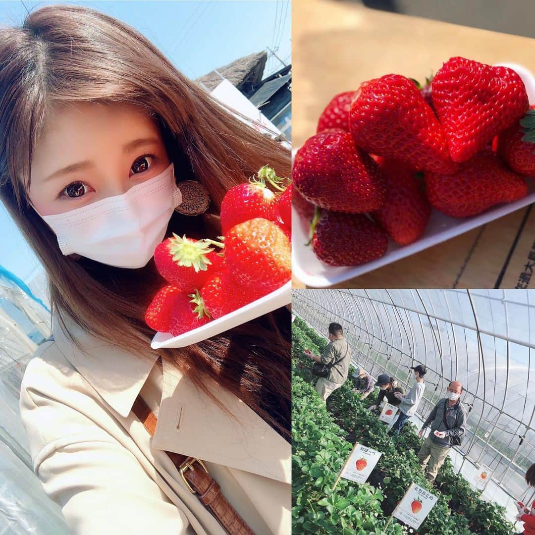 南菜々子のインスタグラム