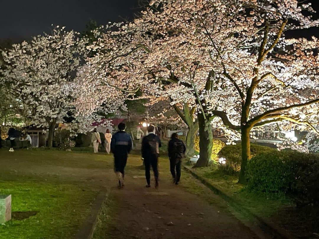 南條早紀さんのインスタグラム写真 - (南條早紀Instagram)「夜桜散歩🌸  帰り道、少しだけお花見をしました☺️ 飲んだり食べたりせず、 ライトアップされた松川べりと 城址公園周辺をお散歩！  前を歩くのは会社の同僚☺️ 大事な同期です✨  2015年に入社して、5年。 それぞれ部署が違いますが、 共にここまで乗り越えてきました🍀  咲き誇る桜からパワーをもらい、 いよいよ明日から始まる新たな年度 またがんばりたいと思います🌸  そして来年は、桜の下で みんなでわいわい美味しいもの食べて 乾杯🍻できたらいいな😊💓  新年度を迎えるみなさん！ 一緒に頑張りましょうね٩( ᐛ )و✨  #富山県 #富山市 #富山 #toyama #桜 #花見 #夜桜 #夜桜ライトアップ #夜桜散歩 #ノンストップ #お花見 #お花見日和 #夜風が気持ちいい #同期 #同期会 #満開 #満開の桜 #松川べり #富山城址公園 #綺麗 #綺麗な景色 #新年度 #頑張ろう #来年はお花見できますように  #桜2021 #癒やされた  #富山テレビ #アナウンサー #なんじょうのにちじょう #🌸」3月31日 19時42分 - nanjo_saki