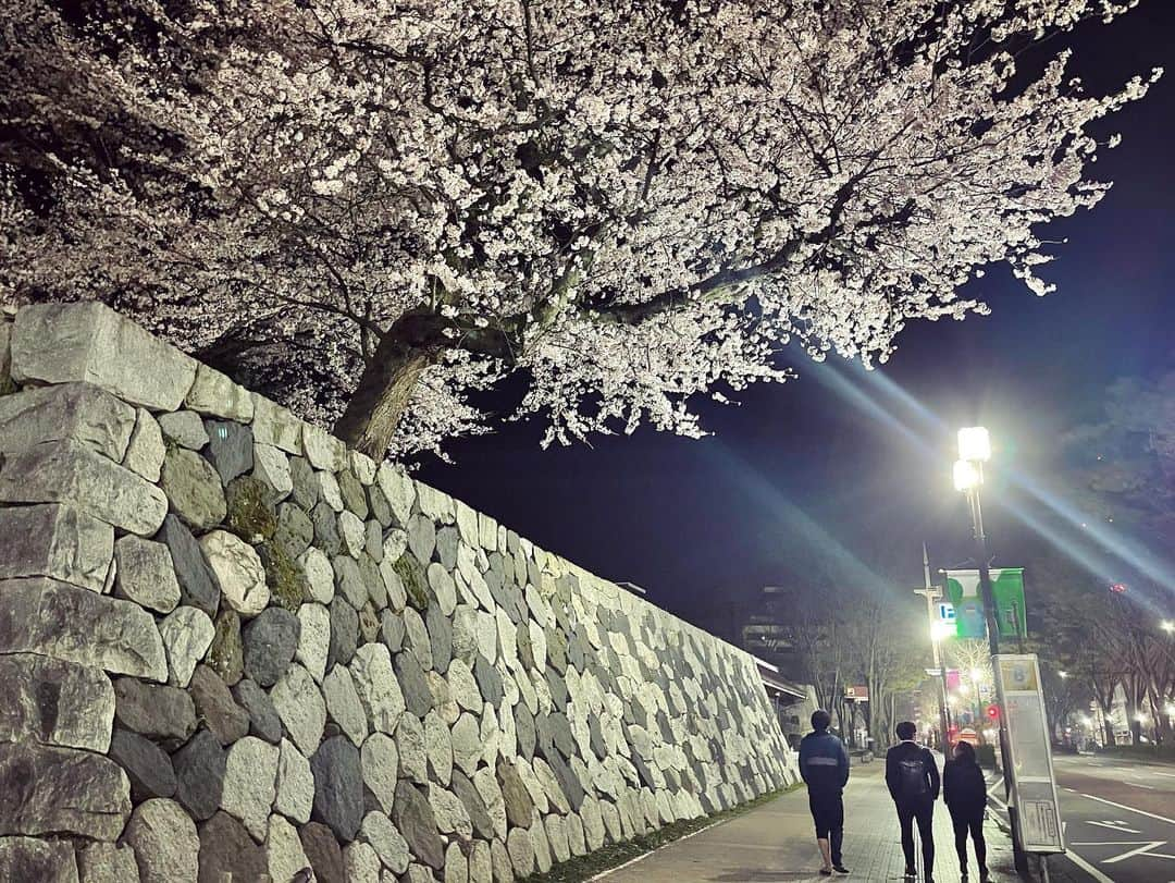 南條早紀さんのインスタグラム写真 - (南條早紀Instagram)「夜桜散歩🌸  帰り道、少しだけお花見をしました☺️ 飲んだり食べたりせず、 ライトアップされた松川べりと 城址公園周辺をお散歩！  前を歩くのは会社の同僚☺️ 大事な同期です✨  2015年に入社して、5年。 それぞれ部署が違いますが、 共にここまで乗り越えてきました🍀  咲き誇る桜からパワーをもらい、 いよいよ明日から始まる新たな年度 またがんばりたいと思います🌸  そして来年は、桜の下で みんなでわいわい美味しいもの食べて 乾杯🍻できたらいいな😊💓  新年度を迎えるみなさん！ 一緒に頑張りましょうね٩( ᐛ )و✨  #富山県 #富山市 #富山 #toyama #桜 #花見 #夜桜 #夜桜ライトアップ #夜桜散歩 #ノンストップ #お花見 #お花見日和 #夜風が気持ちいい #同期 #同期会 #満開 #満開の桜 #松川べり #富山城址公園 #綺麗 #綺麗な景色 #新年度 #頑張ろう #来年はお花見できますように  #桜2021 #癒やされた  #富山テレビ #アナウンサー #なんじょうのにちじょう #🌸」3月31日 19時42分 - nanjo_saki