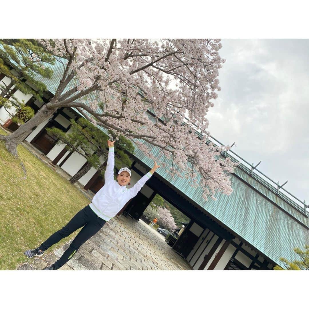 のインスタグラム：「明日からヤマハレディース葛城頑張ります！ @yamahagolf_official   今年も桜が綺麗です🥰🌸  最後の写真は、青空の下1人ぽつんとリモート取材を受けている福田さんです。笑　 2枚目の福田さんのポーズも謎。笑  #ヤマハレディースオープン葛城 #ヤマハ　#yamaha #葛城ゴルフ倶楽部 #ホテル北の丸」