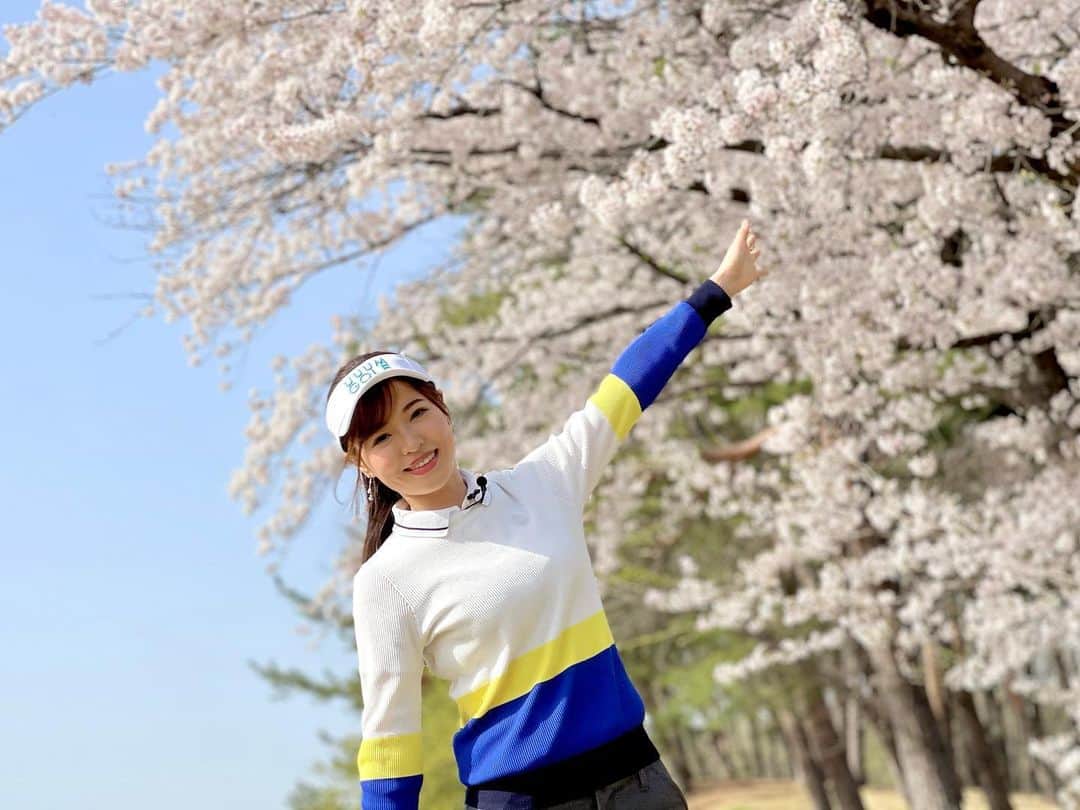 高橋としみさんのインスタグラム写真 - (高橋としみInstagram)「#こだまゴルフクラブ  の桜が 満開でしたぁー🌸🌸🌸 これが私の今年の花見です😊✨ . ウェア　@standrews_jp  #ゴルフ#ゴルフ女子#uuumgolf」3月31日 20時06分 - toshimi_1002