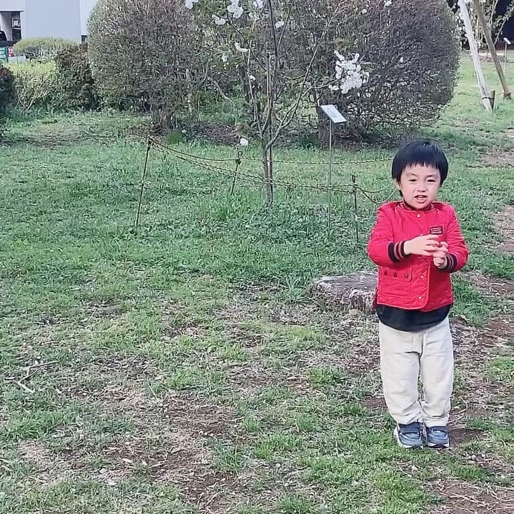アレクサンダーのインスタグラム：「抱っこ小僧」