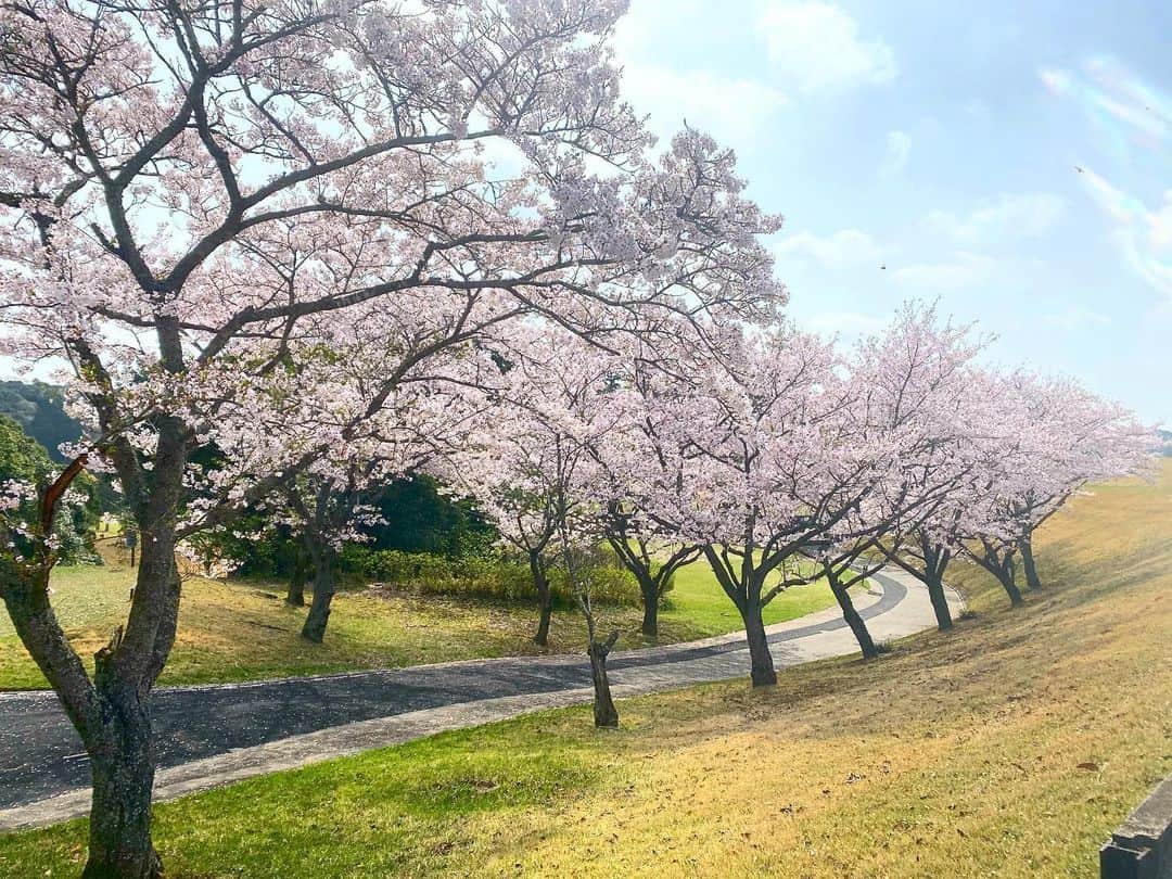 篠崎愛さんのインスタグラム写真 - (篠崎愛Instagram)「3/31 新たなスタート」3月31日 21時05分 - mana.s_golf