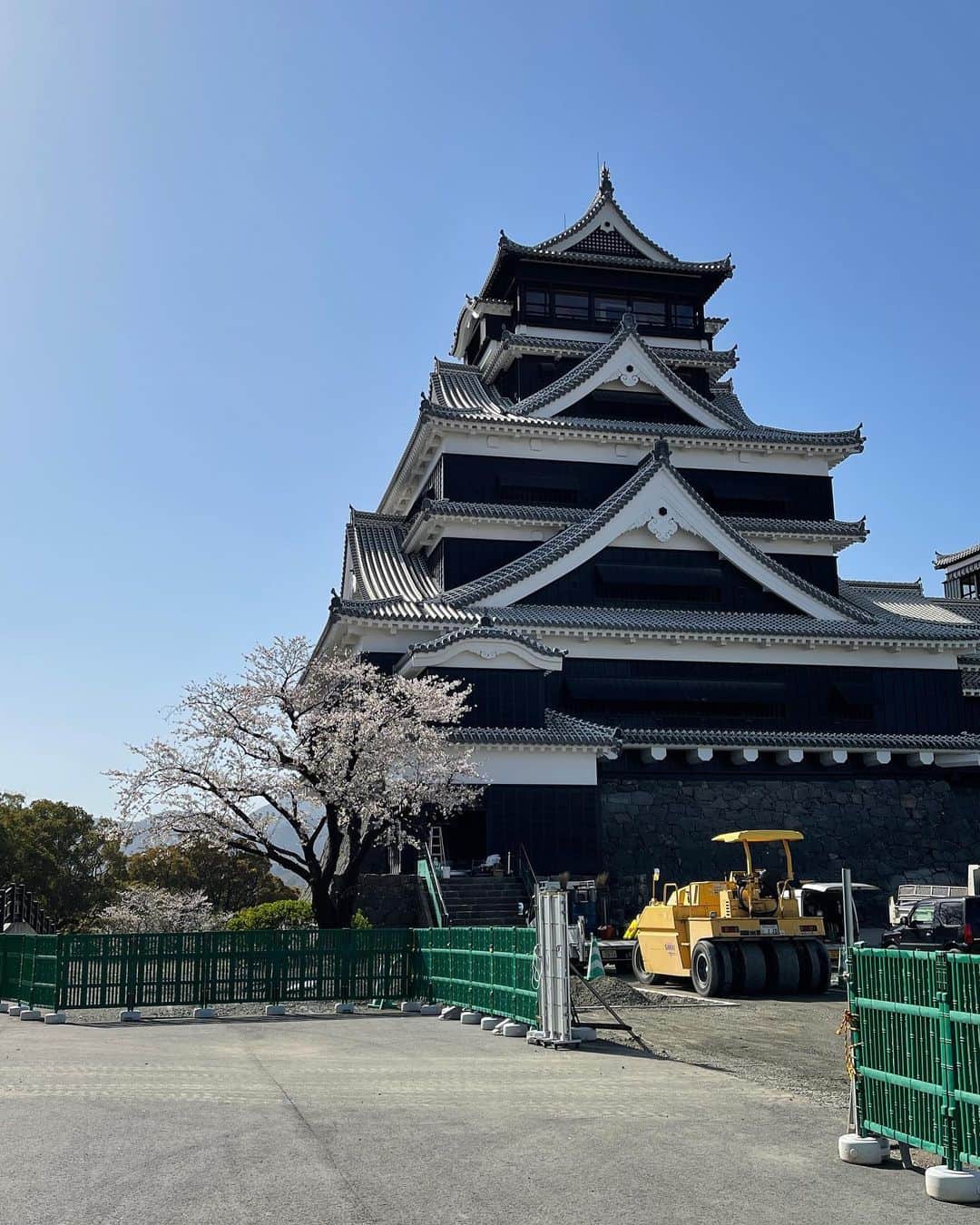 MIHO氏さんのインスタグラム写真 - (MIHO氏Instagram)「熊本城🌸  桜の名所100選にも選ばれているとのことで とっても綺麗に桜が咲いてました。  2016年の熊本地震で甚大な被害を受けつつも 少しずつ復興が進められており 在りし日の熊本城を甦らせたいという 地元の人たちの熱い想いを感じました。  完全復興には20年かかるらしいけど 熊本と熊本城には頑張ってほしい。  ． #熊本城  #外のベンチで休んでたらな #目の前にめちゃでかい犬いてな #木製ベンチの角っこをめっちゃ噛んでてな #角っこガジガジになってた #せっかく復興してるのに被災さすな #わんこガジガジの乱 #でもかわいいから見てみぬふりした #どんまいオブザイヤー」3月31日 21時42分 - _mihoshi.344_
