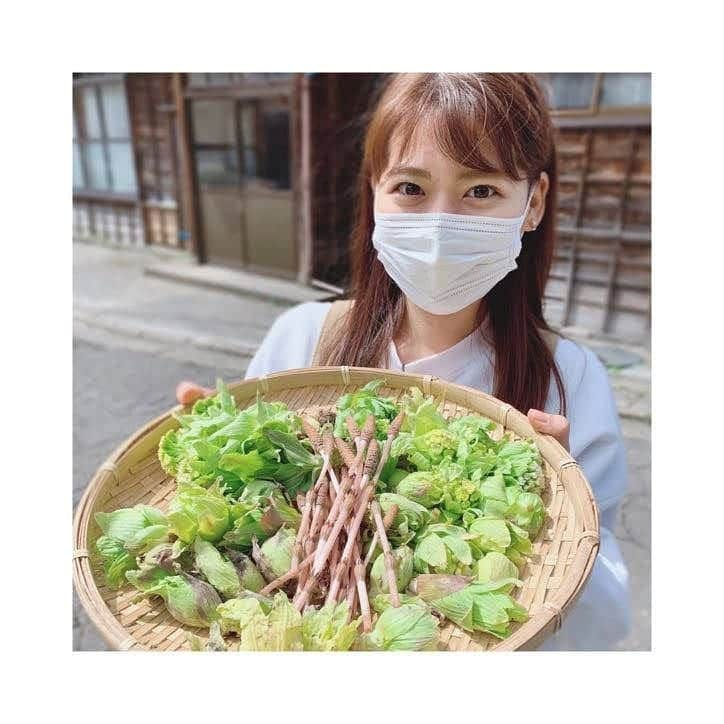 林莉世さんのインスタグラム写真 - (林莉世Instagram)「山菜❣️ . #水曜見ナイト#取材#BSN#新潟放送#新潟 #山菜#山菜採り#天ぷらにしていだきました #かたくて#開いていない#ふきのとう#美味しいらしい」3月31日 22時10分 - rise_hayashi