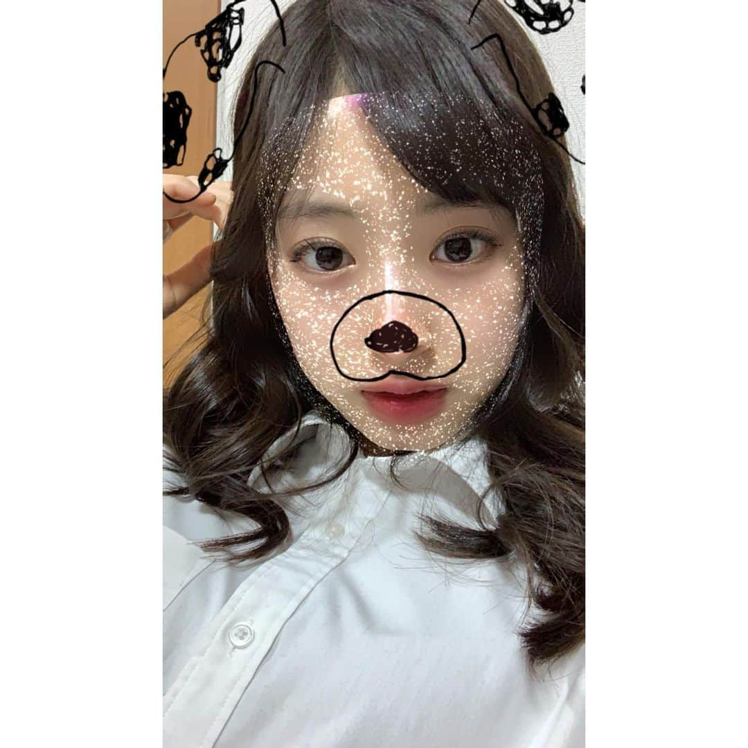 井本彩花さんのインスタグラム写真 - (井本彩花Instagram)「. 今日もお疲れ様でした😌  前髪伸びるの早いです。🐶🐾  今日で3月終わりですね。🌱 明日から4月…🌸  うん。頑張ろう🌷  #おやすみなさい #井本彩花」3月31日 22時18分 - imoto_ayaka_official