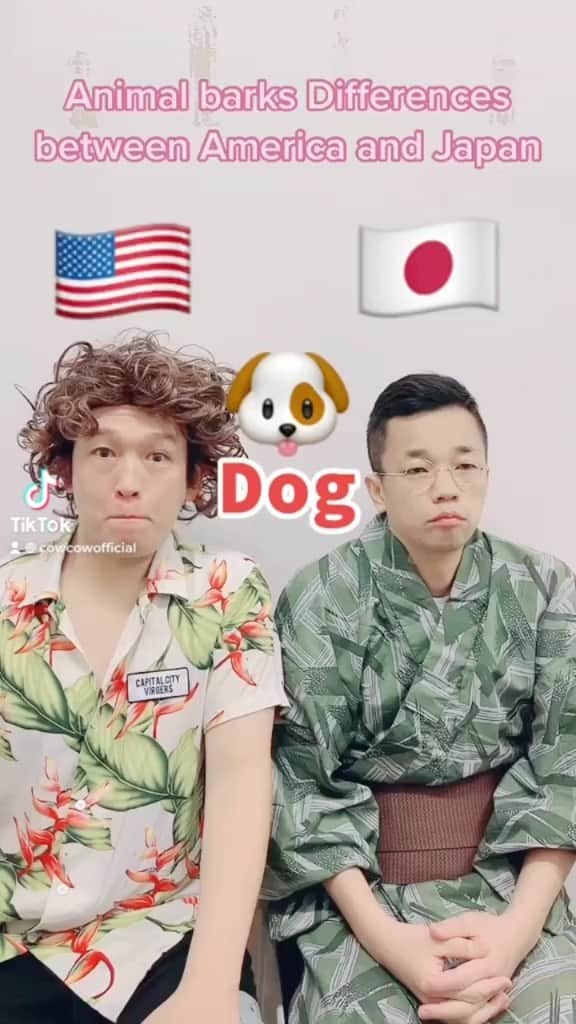 善し のインスタグラム：「アメリカ🇺🇸と日本🇯🇵の動物の鳴き声の違い。 #cowcow #japanese #japaneselanguage」
