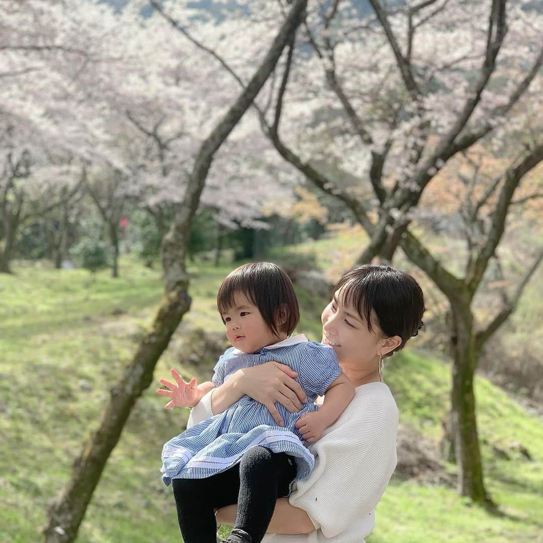 前田阿希子さんのインスタグラム写真 - (前田阿希子Instagram)「桜が綺麗すぎて、 毎日の子供とのお散歩がお花見状態です🌸  さてさて、明日の夜10時から インスタライブをいたします😆  今回はインスタライブでは 初の、お酒のおつまみを作りながら お酒をご紹介できたらな、と 思っています☺️  お酒のおつまみといいながらも、 以前にご質問頂いた、 『ドバイ料理にあうお酒』を 色々考えてみました。  『アラビック料理・フムスと日本酒・五人娘』  お酒にあう簡単なおつまみって感じではないのですが…😅  異国を感じたいときにお試し頂けたらな…と思っています（笑）  でも慣れると簡単で、 私はドバイにいた頃、ちょこちょこ作って、お料理の付け合わせにしたり、お酒のアテにしたり、 ラップサンドの具にしたり… なんだか懐かしい一品です。  最近は、ダイエット食や 美容食としても注目されていたようですよ🤔  【日時】 ・4月1日（木）夜10時から （子供が寝てからなので少し遅れる可能性大です）  ・アラビック料理『フムス』を 作りながら日本酒『五人娘』と ペアリングしてみます😋  ・色々お話ししましょ💕 　…ちょっとお酒を飲みながら🤣  夜10時からですが、ふらりと遊びに来ていただけたら嬉しいです😍 ・ ・ ・ #インスタライブ #りょうりすたぐらむ #日本酒ペアリング #西松屋春らんまんキャンペーン #日本酒#酒#sake #sakepairing  #japanesesake  #goninmusumemurokajunmai #日本酒好きな人と繋がりたい  #双子ママ#子育てママと繋がりたい #お酒にも桜を背負わせてみました😆 #ダイエット #桜 #料理 #家族 #夏 #幸せ #息子 #アウトドア #笑顔 #楽しい」3月31日 22時43分 - akiko_1206