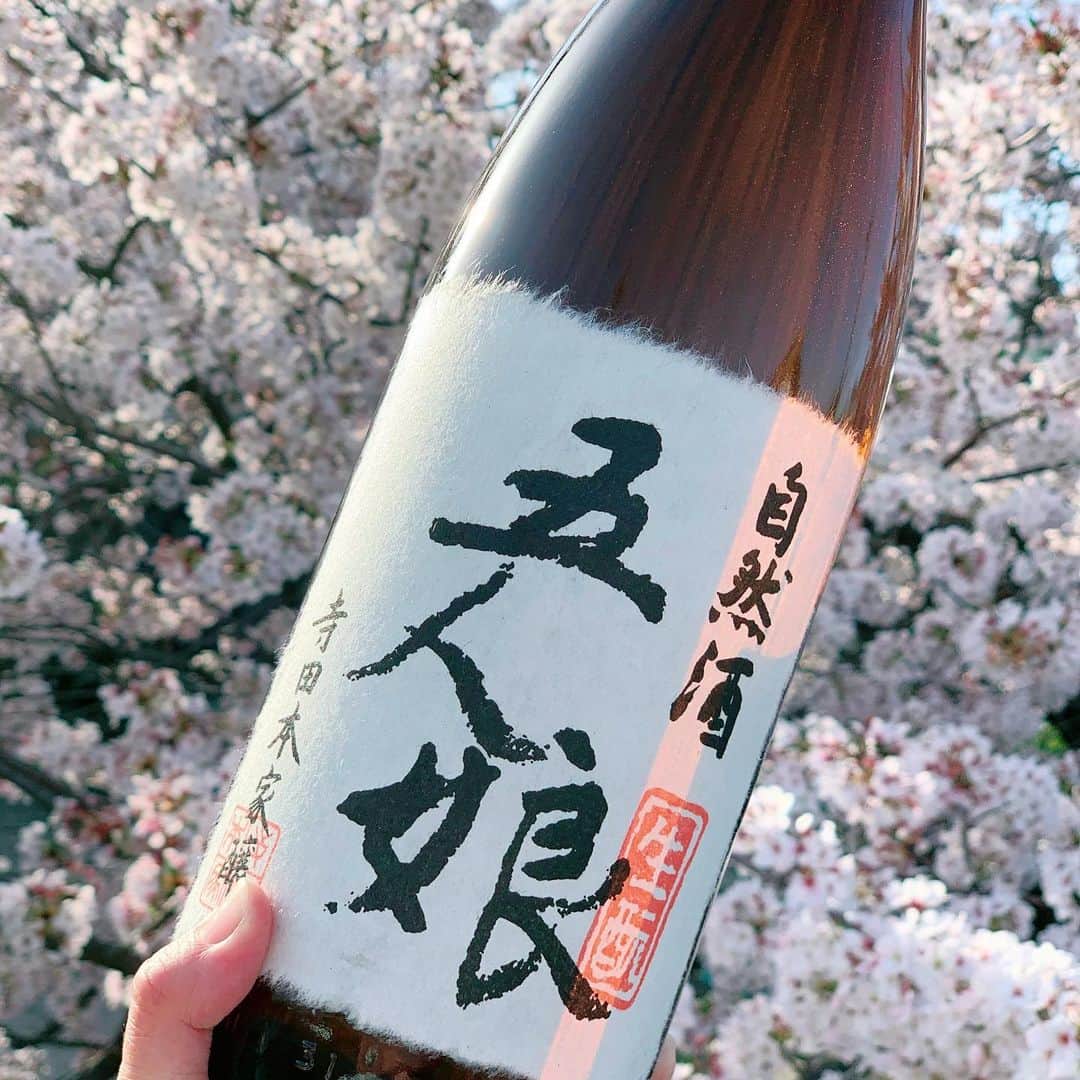 前田阿希子さんのインスタグラム写真 - (前田阿希子Instagram)「桜が綺麗すぎて、 毎日の子供とのお散歩がお花見状態です🌸  さてさて、明日の夜10時から インスタライブをいたします😆  今回はインスタライブでは 初の、お酒のおつまみを作りながら お酒をご紹介できたらな、と 思っています☺️  お酒のおつまみといいながらも、 以前にご質問頂いた、 『ドバイ料理にあうお酒』を 色々考えてみました。  『アラビック料理・フムスと日本酒・五人娘』  お酒にあう簡単なおつまみって感じではないのですが…😅  異国を感じたいときにお試し頂けたらな…と思っています（笑）  でも慣れると簡単で、 私はドバイにいた頃、ちょこちょこ作って、お料理の付け合わせにしたり、お酒のアテにしたり、 ラップサンドの具にしたり… なんだか懐かしい一品です。  最近は、ダイエット食や 美容食としても注目されていたようですよ🤔  【日時】 ・4月1日（木）夜10時から （子供が寝てからなので少し遅れる可能性大です）  ・アラビック料理『フムス』を 作りながら日本酒『五人娘』と ペアリングしてみます😋  ・色々お話ししましょ💕 　…ちょっとお酒を飲みながら🤣  夜10時からですが、ふらりと遊びに来ていただけたら嬉しいです😍 ・ ・ ・ #インスタライブ #りょうりすたぐらむ #日本酒ペアリング #西松屋春らんまんキャンペーン #日本酒#酒#sake #sakepairing  #japanesesake  #goninmusumemurokajunmai #日本酒好きな人と繋がりたい  #双子ママ#子育てママと繋がりたい #お酒にも桜を背負わせてみました😆 #ダイエット #桜 #料理 #家族 #夏 #幸せ #息子 #アウトドア #笑顔 #楽しい」3月31日 22時43分 - akiko_1206