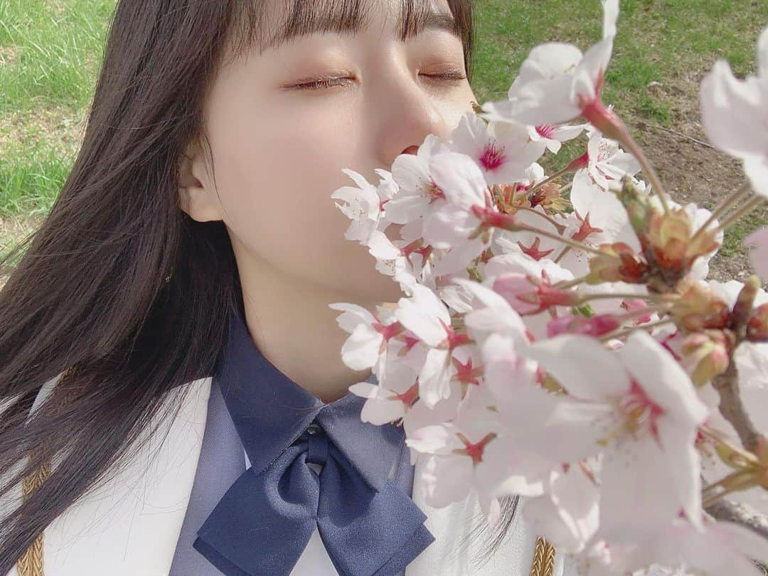 瀧野由美子のインスタグラム：「﻿ 🌸 ﻿ ﻿ ﻿ #STU48 #瀧野由美子﻿ #STU4周年﻿ #🌸 #桜 #さくら ﻿ #香川県 #紫雲出山」