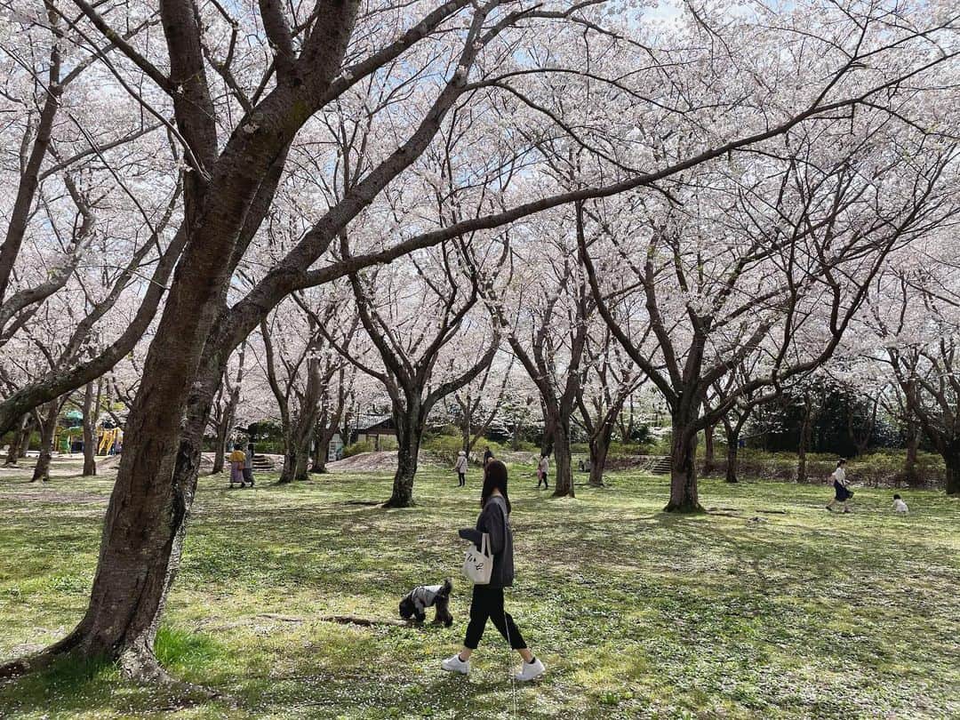 今井美桜さんのインスタグラム写真 - (今井美桜Instagram)「春が好き🌸♡」3月31日 23時25分 - mio_ima49