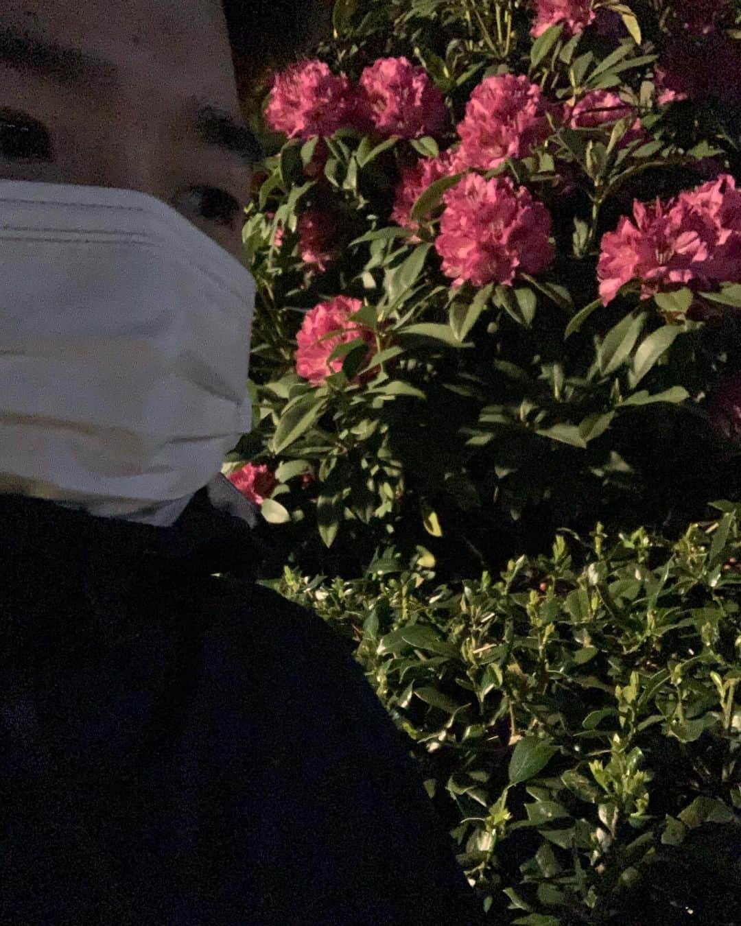 のインスタグラム：「ウォーキング終わったら生配信で筋トレしよ。24時から。https://youtu.be/r-XMOrp3s1E #YouTube #生配信 #筋トレ #足上げ100回」