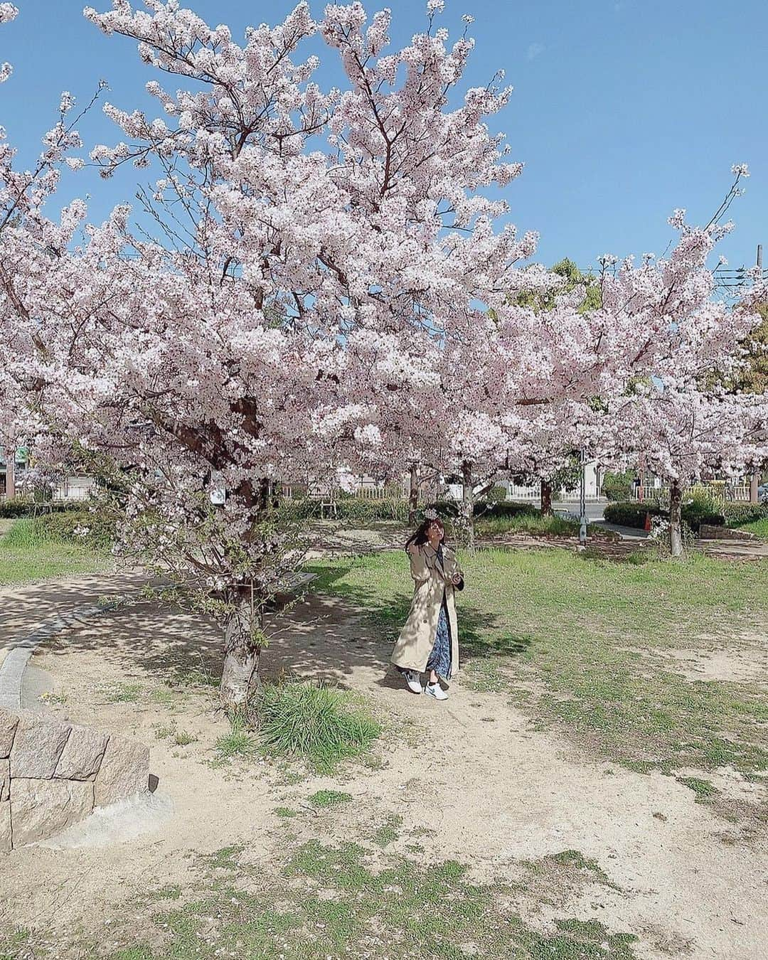 本郷柚巴さんのインスタグラム写真 - (本郷柚巴Instagram)「ただいま😊  今年も桜間に合ったね🌸  来年もよろしくです❤︎  #桜 #春 #ワンピース #携帯 #プリクラ #七海 #mecca  #meccaplus」3月31日 23時55分 - h.yuzuha_0112