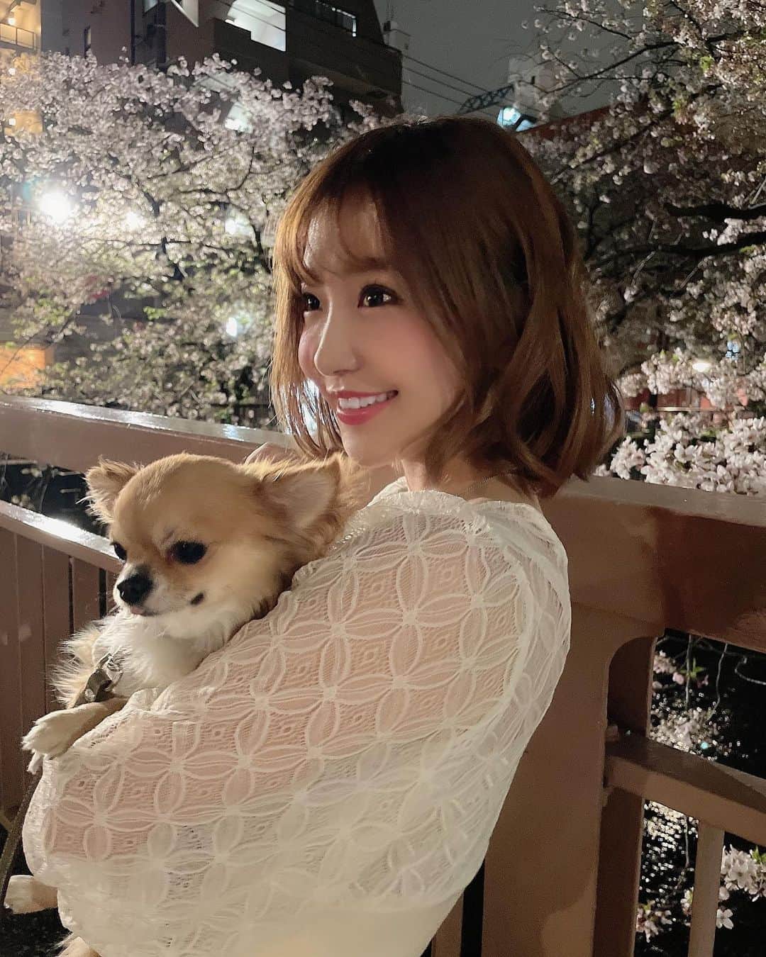 のインスタグラム：「大好きなちくわと、、🐶🌸 はじめてのお花見💕 ちくわにとっては初めてのお花見なんだなあと☺️✨ #花見 #花見コーデ #お花見 #お花見散歩 #中目黒 #目黒川の桜 #夜桜 #japan #sakura #japaneseculture #japanegirl」