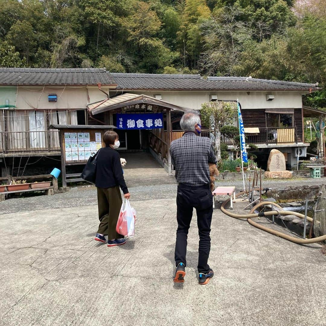 Karinさんのインスタグラム写真 - (KarinInstagram)「おばあちゃん孝行の旅 大人4人と犬３匹で賑やか旅 お昼にヤマメ料理を食べて、夜は小田温泉　花心へ 温泉は源泉掛け流しがやっぱりイイ😃 夕飯豪華だったのに写真１枚しか撮ってなかった😅アホです  #hotspring #japan #trip #小田温泉」4月1日 0時35分 - kaorikarin_u