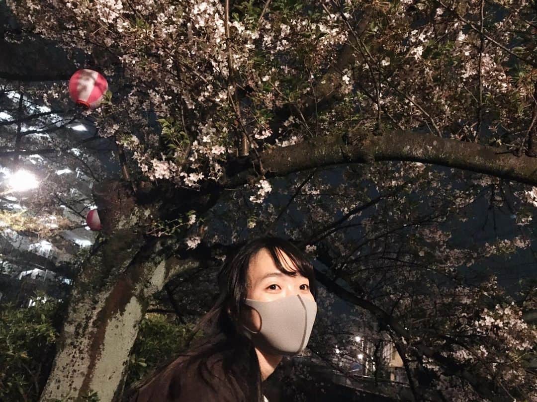 山本真莉さんのインスタグラム写真 - (山本真莉Instagram)「🌸🌸🌸  夜葉桜を ピンクの提灯がアクセント 今日から4月ですね〜 春ですねぇ〜 私はさぼうるのナポリタンが食べたいです、早く行きたいです 古本屋さん巡り、古着屋さん巡りをしたいですね  #桜 #夜桜 #葉桜 #春 #さぼうる #さぼうる2 #ナポリタン#神保町 #古本屋 #古着屋 #下北沢 #cherryblossom #nightphotography #spring」4月1日 12時20分 - ymmryl