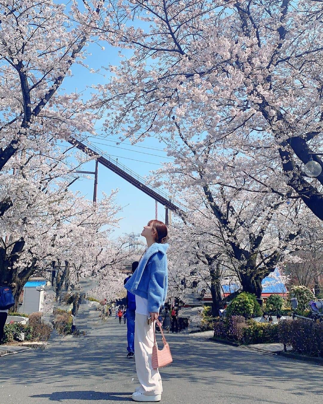 内田眞由美さんのインスタグラム写真 - (内田眞由美Instagram)「今年はたくさん見れたっ🌸💭  #桜 #お花見 #4月」4月1日 12時36分 - mayumi_mmm_