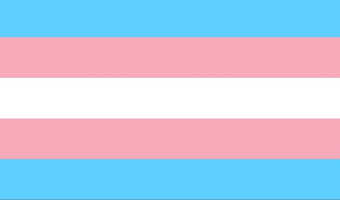 キャサリン・メーニッヒのインスタグラム：「Not just today but everyday, Trans rights are human rights. #transdayofvisibility」