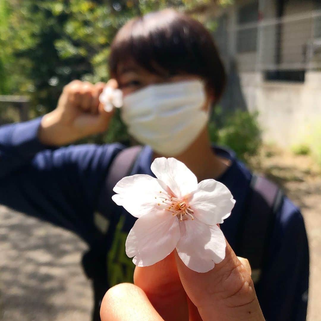 のインスタグラム：「あみか🌸」