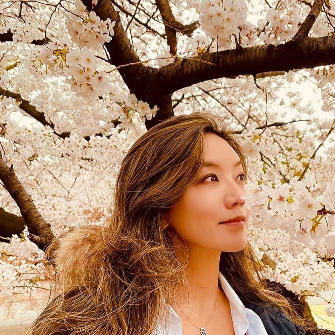 のインスタグラム：「Cherry blossom 🌸 and Me 😊 A petal on my nose 🌸👃😘😜  Cherry blossoms have started blooming in Central Park ?🗽🌸I miss that 🌸🗽  桜🌸と私😊😜鼻のアタマに花びらが👃🌸😜  今年は車窓から沢山桜見れたな🌸ちょっと車から降りて桜🌸と📸  日本はもうそろそろ今年の桜はお別れだけど、NYのセントラルパークは今からだな😍綺麗なんだよね🌸  ２枚目以降の写真は去年のロックダウン中のセントラルパークの桜だよ🌸😊(ロックダウン中でもお散歩はokだったの👍)あの桜に癒されたな🌸🙏NYの方の写真は寒そうだな😅  #takakotokyostylin🇯🇵 #takakonystylin🍎 #cherryblossom #桜#yokawao #和央ようか」