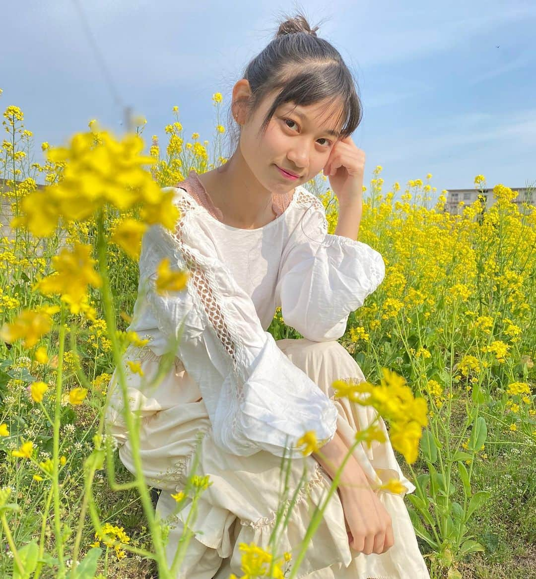 冨永真姫さんのインスタグラム写真 - (冨永真姫Instagram)「菜の花 黄色が綺麗💛 4月は 新しく始まる月ですね fighting✨  #マッキー #菜の花 #中2 #シブサン #anapgirlwebモデル  #スタマガフィール  #プラチナムプロダクション  #4月 #ファイティン #fighting #화이팅」4月1日 9時56分 - t_maki1003