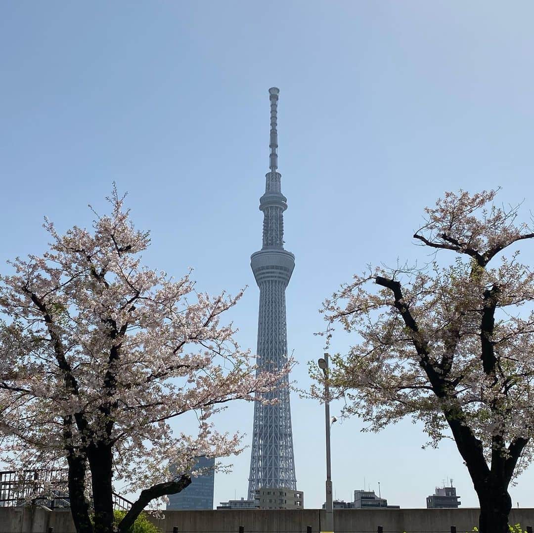 村上りいなさんのインスタグラム写真 - (村上りいなInstagram)「スカイツリーと桜🌸 花屋敷の建物と桜🌸  素敵な写真。  #skytree #スカイ　#sakura #桜 #beautiful #花屋敷　#スカイツリー  #spring #旅」4月1日 11時13分 - riina_murakami