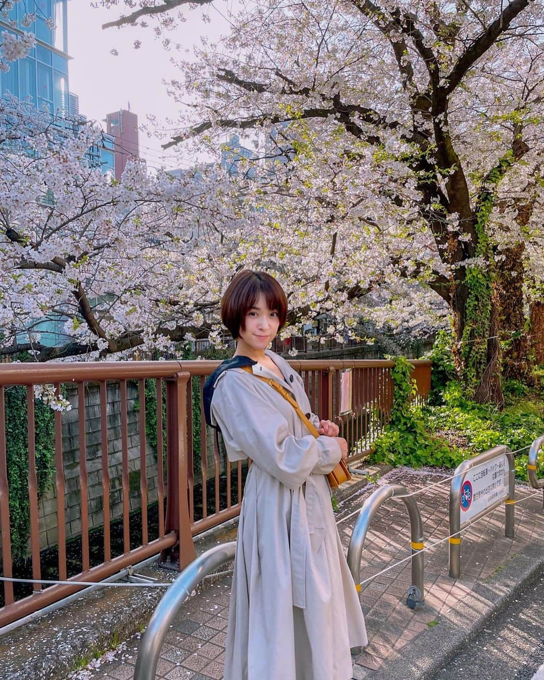 みひろさんのインスタグラム写真 - (みひろInstagram)「. にこっ🌸🌸🌸  #みひろ #mihiro #미히로 #朝美穗香」4月1日 20時43分 - mihiro0519