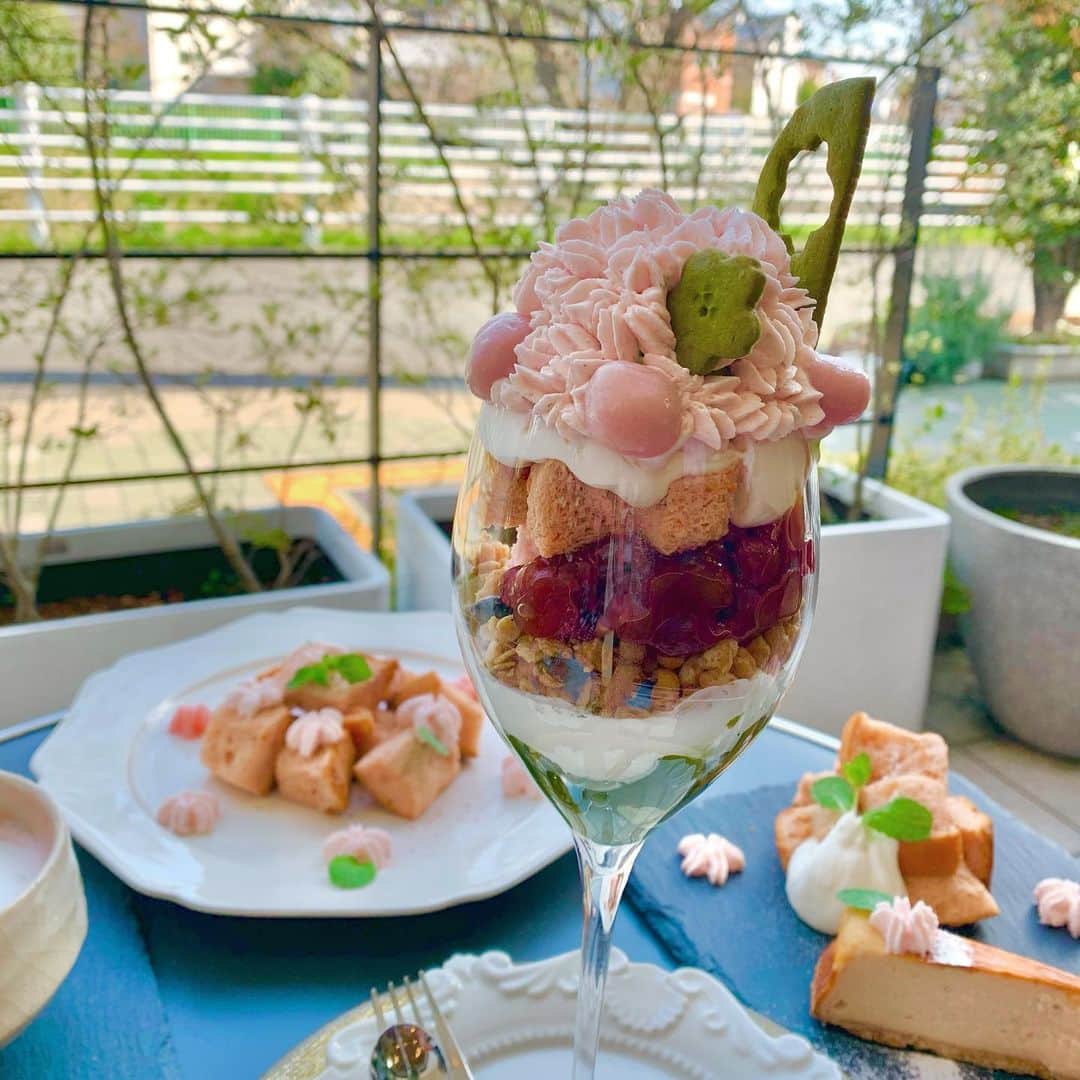 須田亜香里さんのインスタグラム写真 - (須田亜香里Instagram)「#東海テレビスイッチ 一つ前の投稿とこちらの投稿、それぞれロケでお邪魔した、桜が楽しめる噂の喫茶店です☕️ お料理の見た目はもちろん、味も景色も最高で、五感で満たされますよ。 写真撮りそびれてしまったけど、ふわふわキッシュもめちゃくちゃ美味しかった！ 気になる！という方はロキポのアプリでも配信中ですのでぜひチェックしてみてね🌸 #東海地方 #名古屋市 #名古屋カフェ #稚児宮カフェ #映えスイーツ #桜スイーツ」4月1日 20時48分 - akarisuda