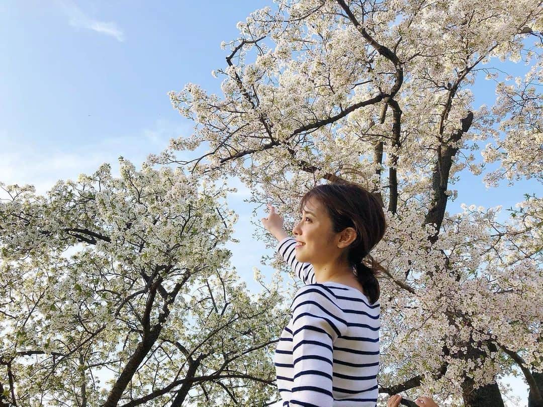 久慈暁子さんのインスタグラム写真 - (久慈暁子Instagram)「* 4月1日。 新年度のスタート🌸🌸🌸 入社した時の新鮮な気持ちを思い出し、 また明日から頑張ろう🐝 * #お台場の桜」4月1日 21時58分 - kuji_akiko