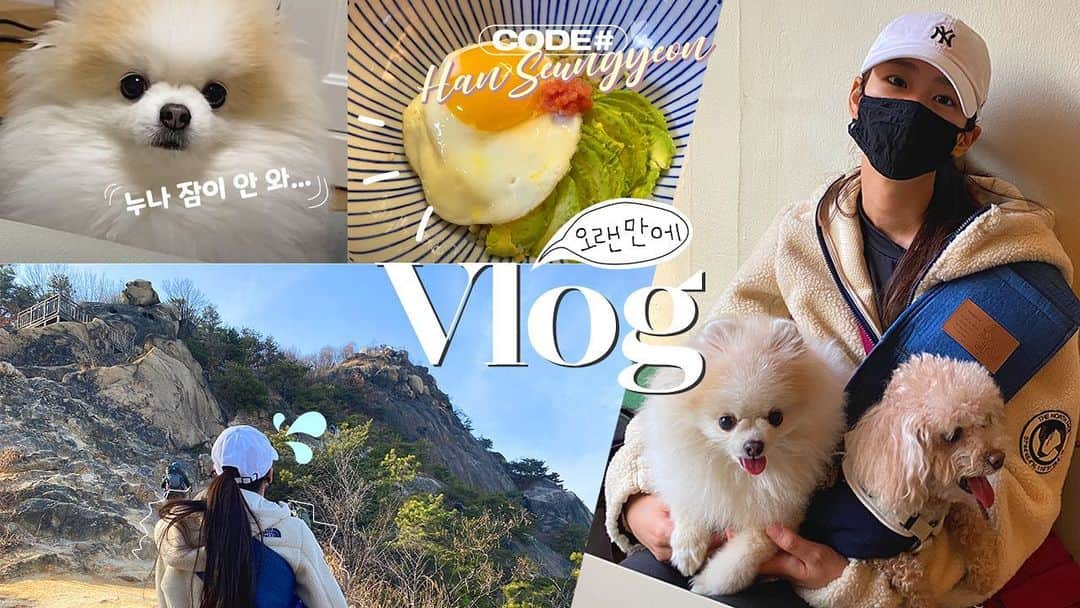 ハン・スンヨンのインスタグラム：「짜좡---!! 드디어 새로운 영상이 올라왔어요! 채널로 고고! new vlog now on youtube channel」