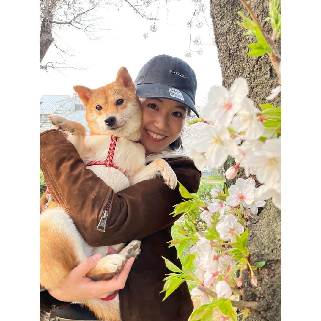 のインスタグラム：「🌸 告知 🌸  本日4月1日よりFM横浜ラジオに毎週木曜 レギュラー出演させていただくことになりました✨ ラジオ番組" Tresen "内の「灯-mawali みんなの防災クイズ」の コーナーを担当させていただきます🙋🏻‍♀️ 早速初回本日17:00～出演予定ですので たくさんの方に聴いていただけると嬉しいです🎶  4月も笑顔でファイティンです♡」