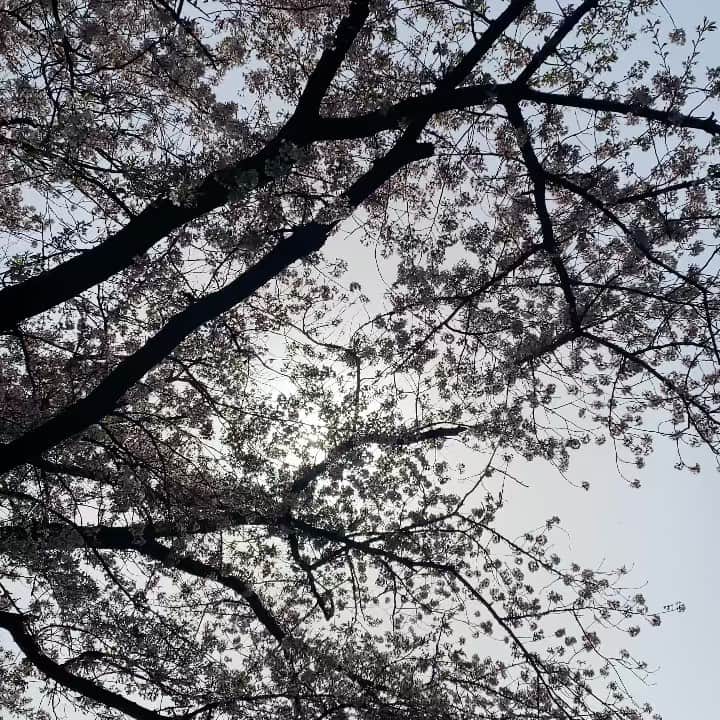 蔭山浩美のインスタグラム：「ファイト！！ 4月もよろしくお願い致します☺︎  #4月 #2021年」