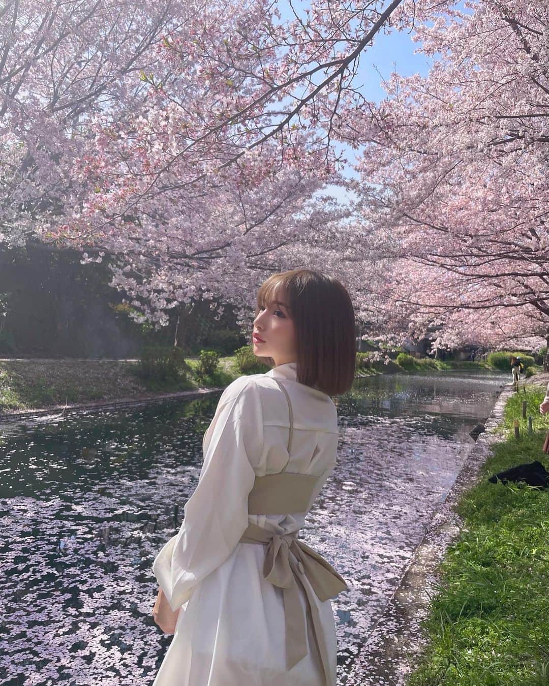 ゆりらっくまさんのインスタグラム写真 - (ゆりらっくまInstagram)「見て見て🌸#桜」4月1日 14時42分 - t.yurikuma