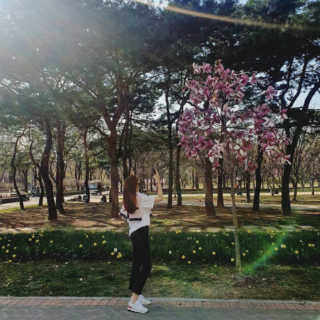 チャ・イェリョンさんのインスタグラム写真 - (チャ・イェリョンInstagram)「인아를 기다리며 ...꽃천국 봄 향기🌸💓  팝콘 같네요🤍」4月1日 15時19分 - chayeryun